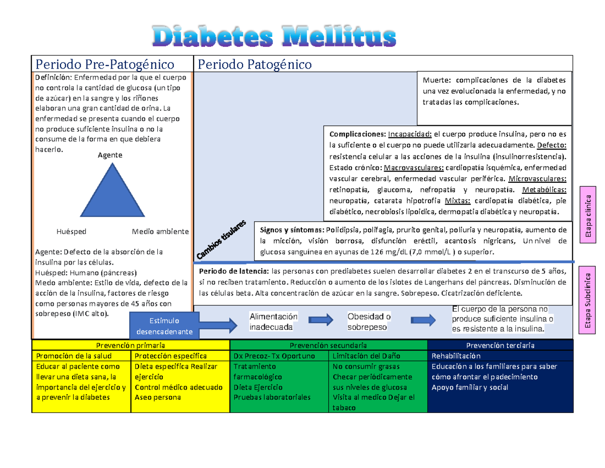 Diabetes Mellitus II Periodo PrePatogénico Periodo Patogénico Definición Enfermedad por la Diabetes Mellitus II Periodo PrePatogénico Periodo Patogénico Definición Enfermedad por la