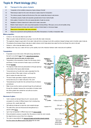 IB BIO SL + HL Drawings AND Graphs - " HMMM . > " ¥o¥÷¥¥e³÷É:¥!¥ ¥¥¥¥:÷ ...