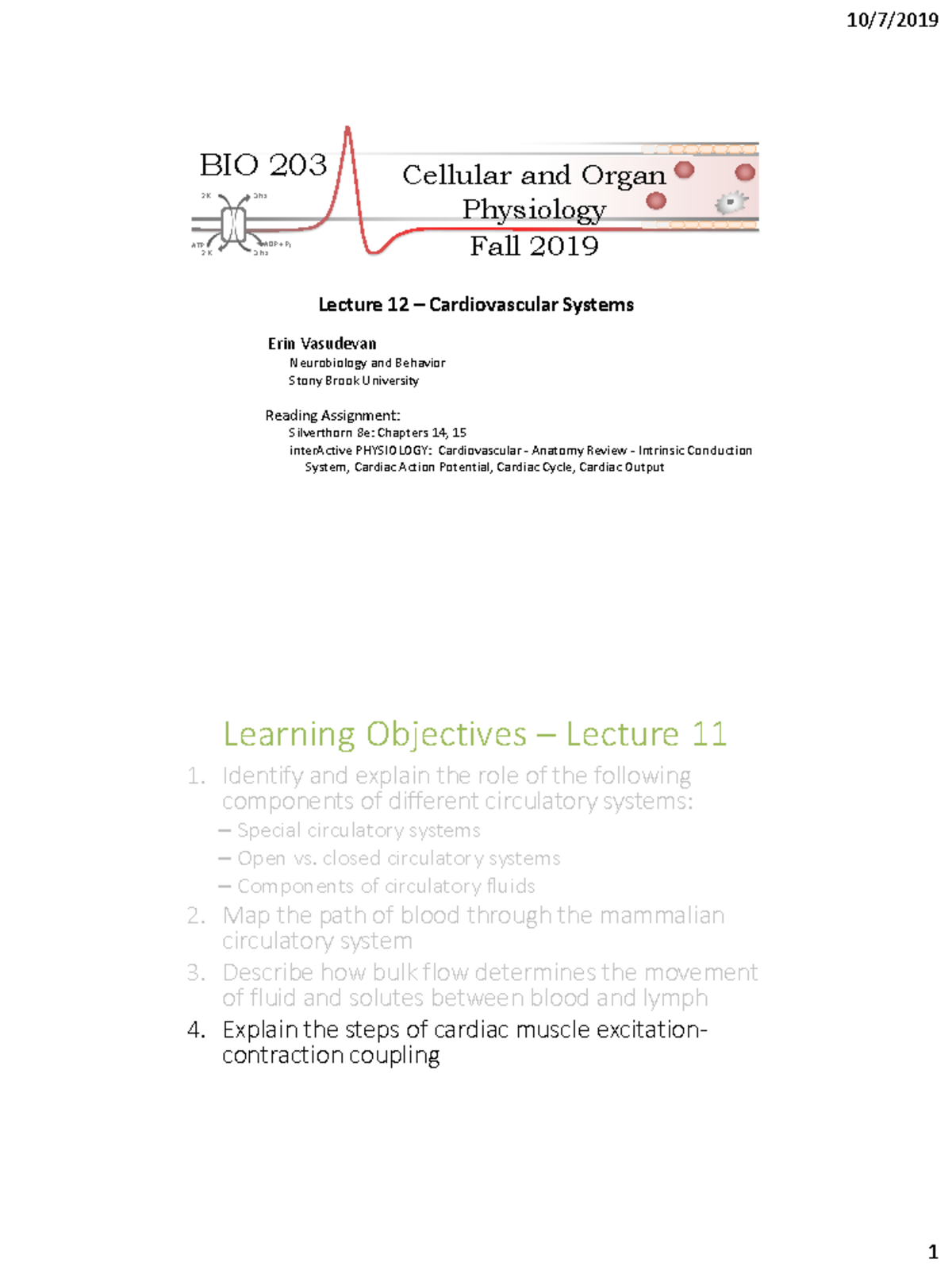 Lecture 12 - Cardiovascular Systems (203 Fa2019 ) - PSY 103 - SBU - Studocu