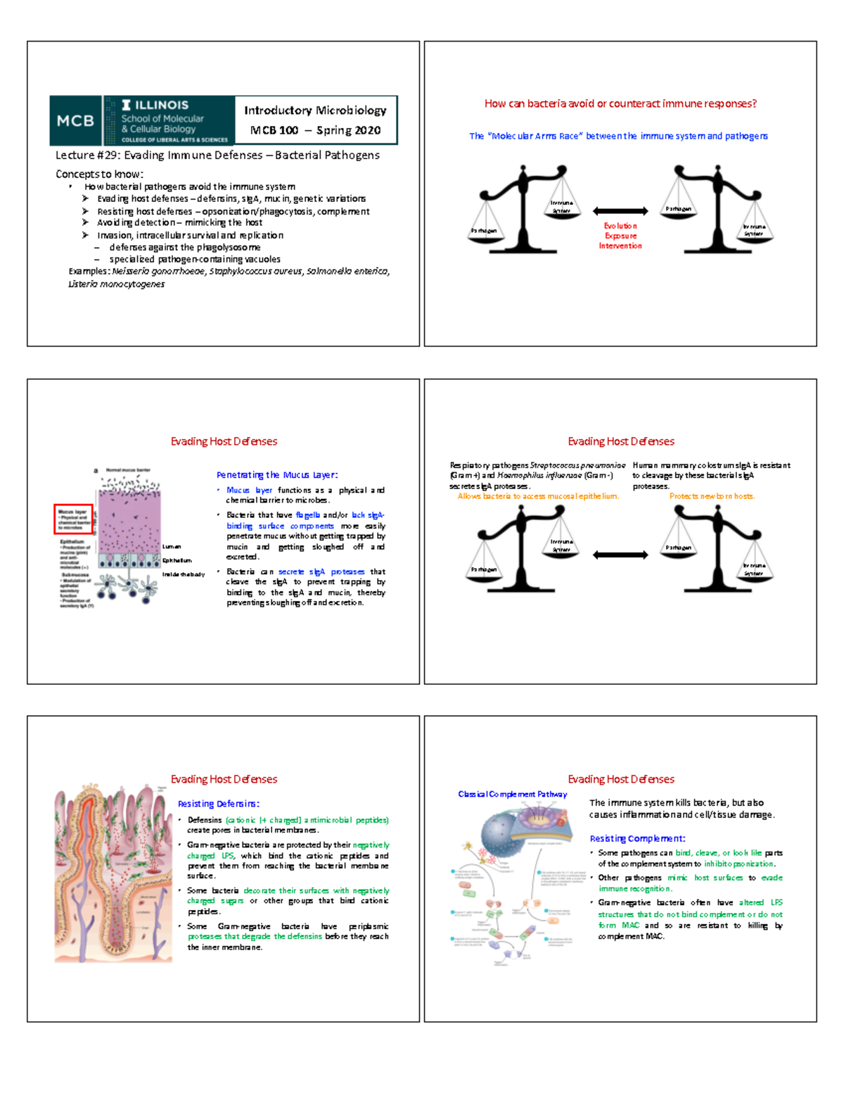 Lecture 29 Evading Immune Defenses-Bacterial Pathogens-FA20 ...