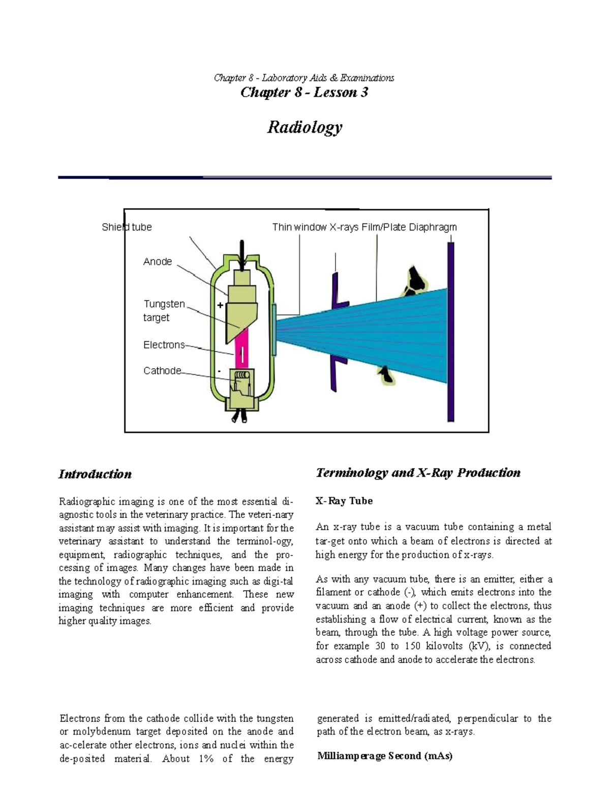Ch0803 Radiology /VTNEVeterinaryScience Chapter 8 Laboratory