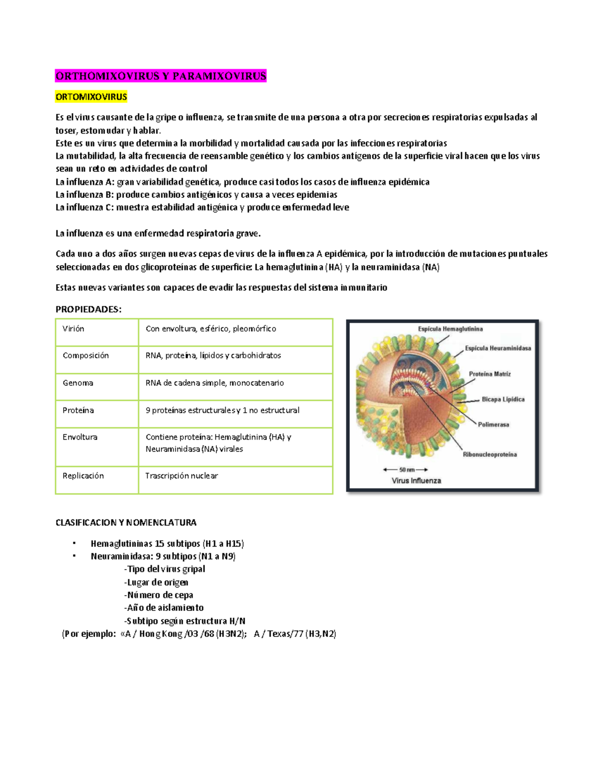 estructura de paramixovirus