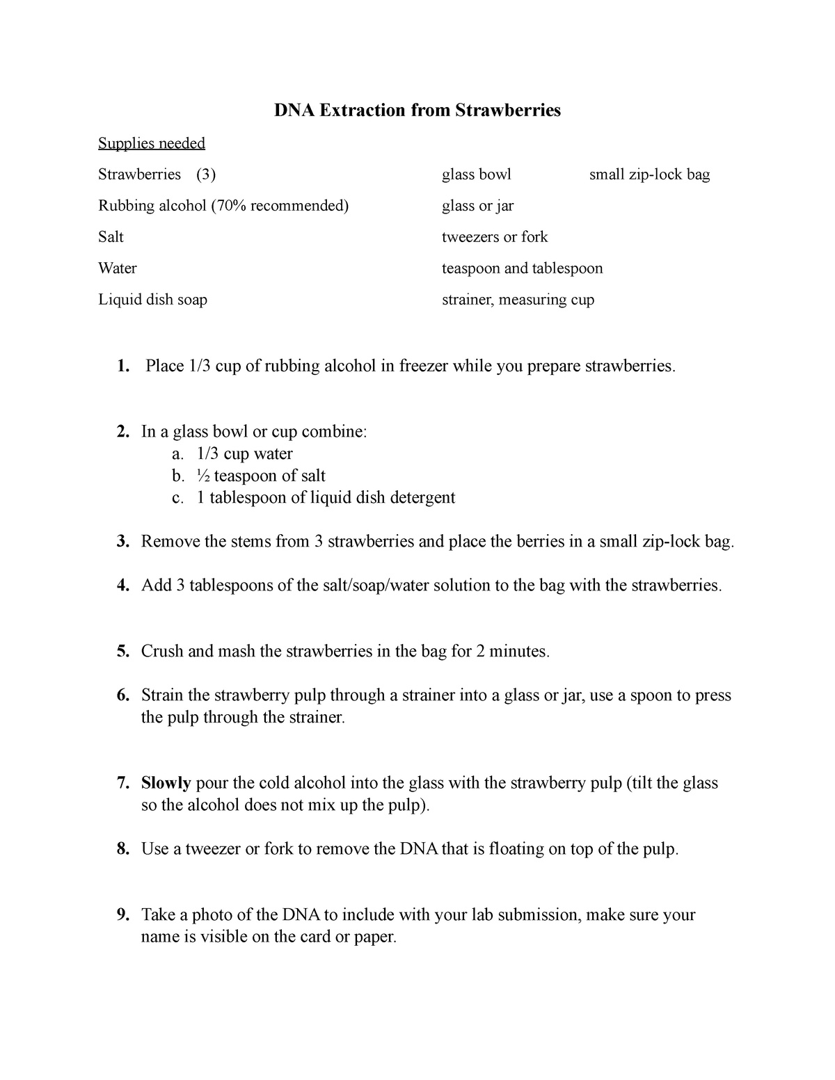 DNA Extraction from Strawberries - DNA Extraction from Strawberries ...