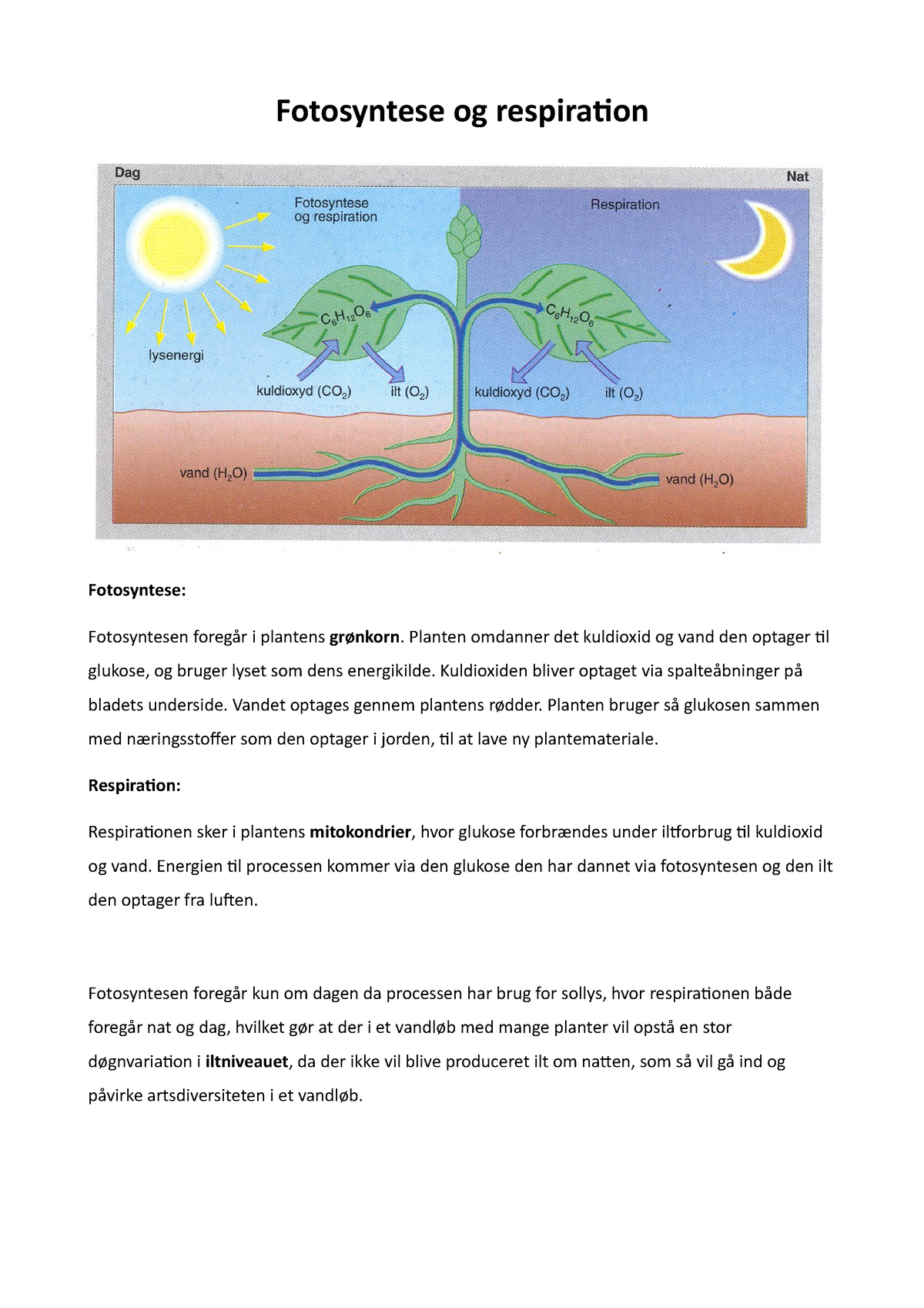 Fotosyntese-og-respiration - Fotosyntese og respiration Fotosyntese: Fotosyntesen plantens - Studocu