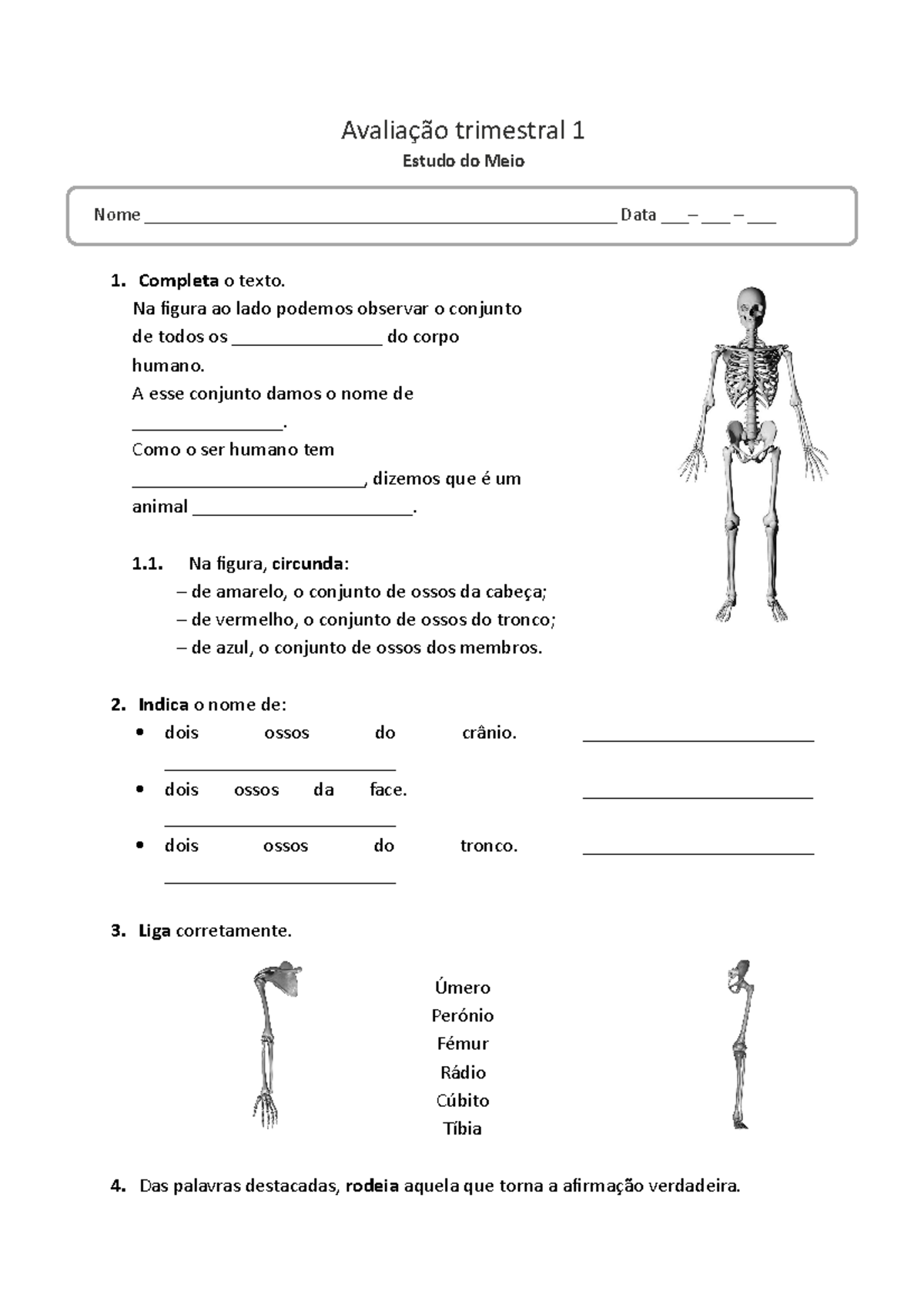 estudo-do-meio-4-ano-avaliacao-trimestral-1-avalia-o-trimestral-1