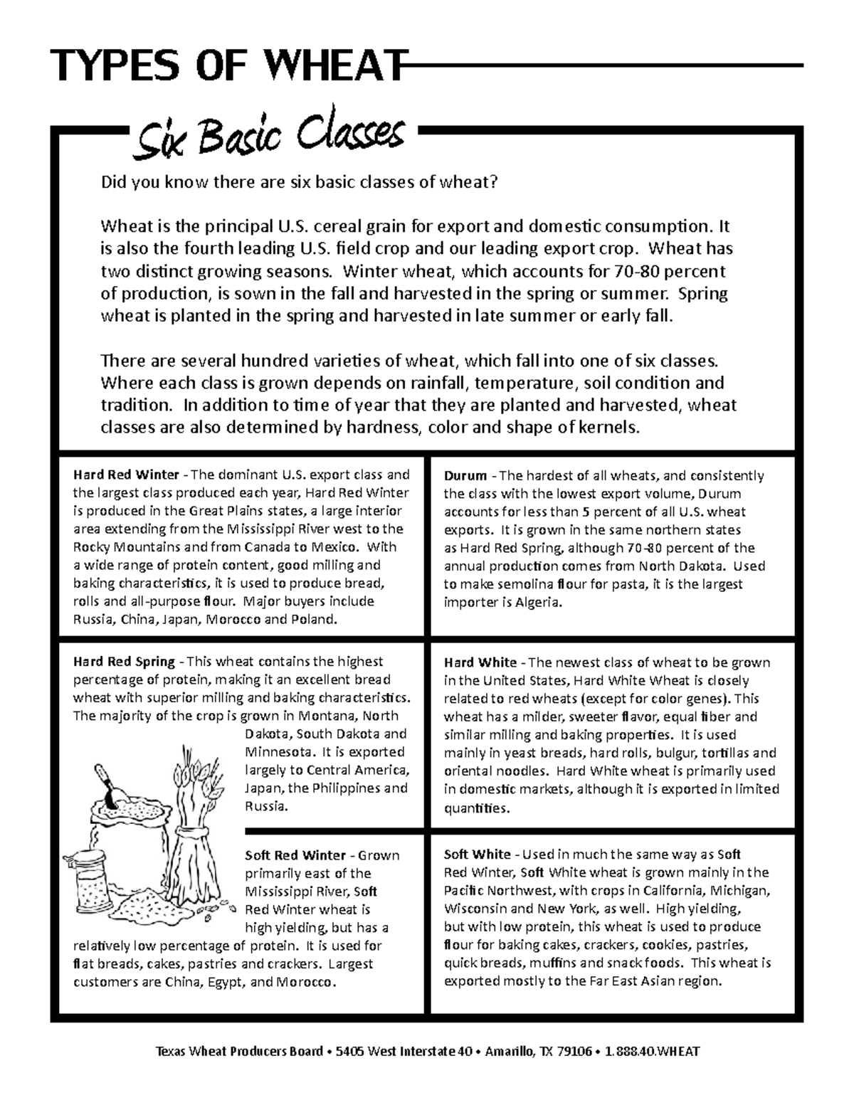 Wheat types - Behaviour of animals - TYPES OF WHEAT Six Basic Classes ...