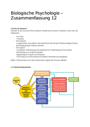 Biologische A&B - Biologische Psychologie – Vorlesung 1 1 Kartesischer ...