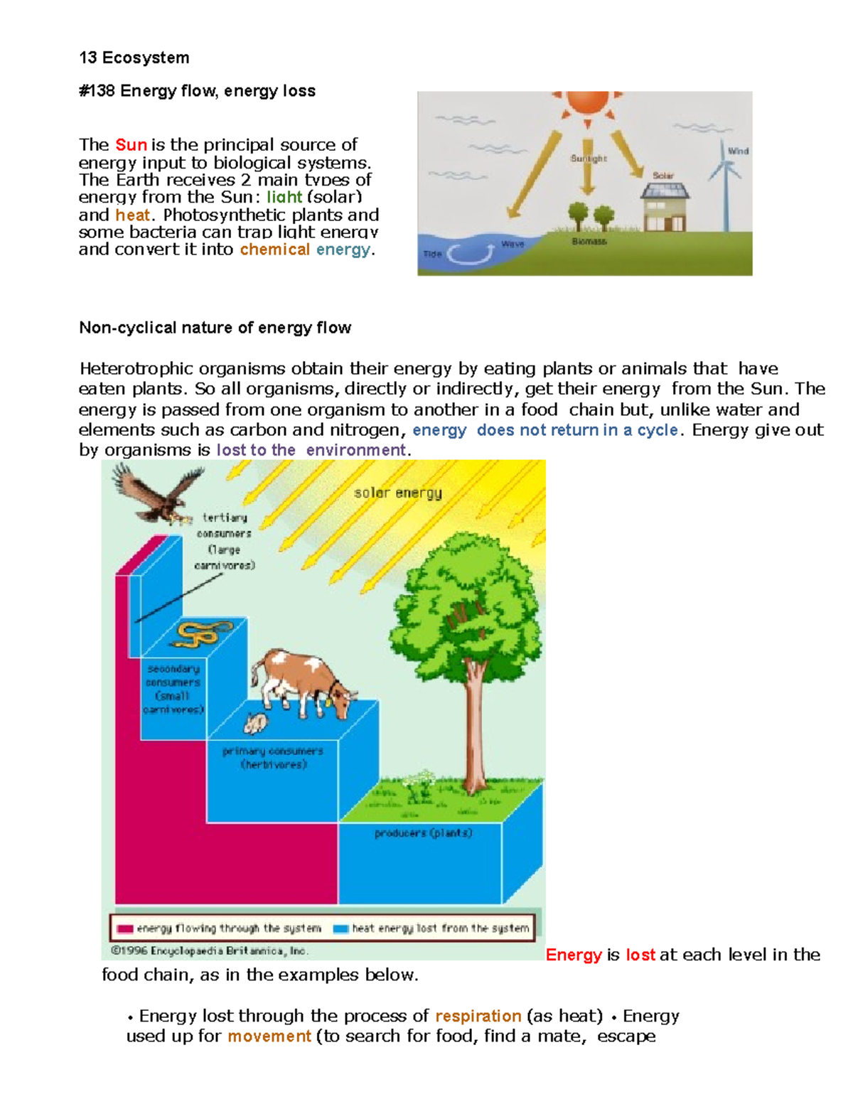 Unit 13 - Ecosystem - Biology Notes - 13 Ecosystem #138 Energy Flow ...