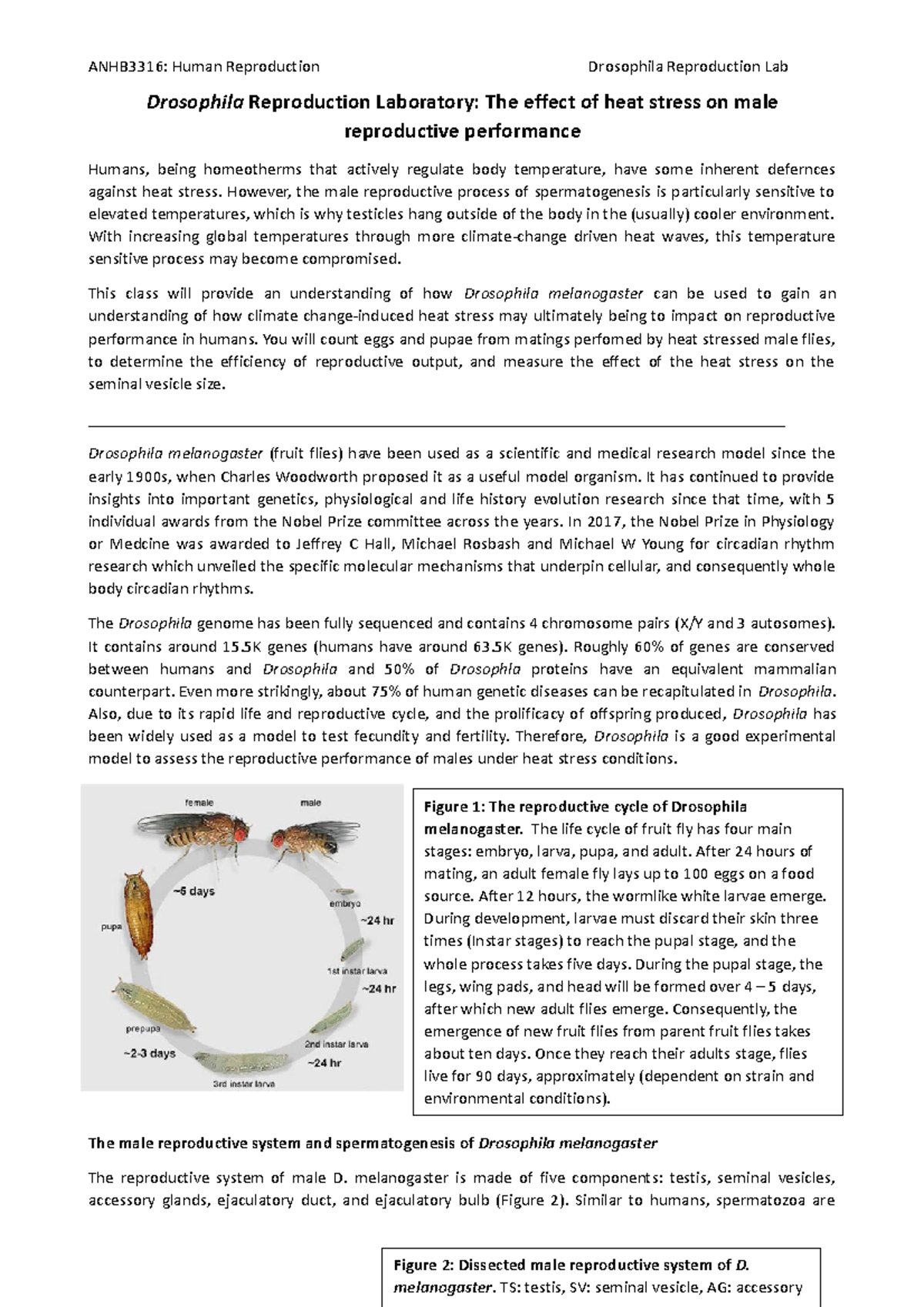 Drosophila lab sheet Drosophila Reproduction Laboratory The effect