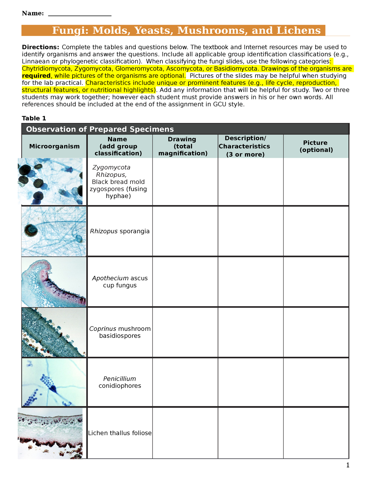 Worksheet Fungi Directions Complete The Tables And Questions Below The Textbook And Internet