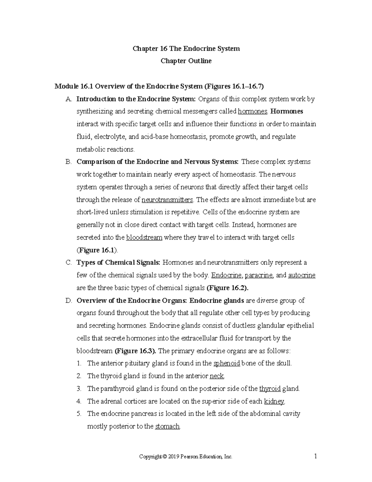 Chapter 16 - The Endocrine System (Chapter Outline) - Chapter 16 The ...