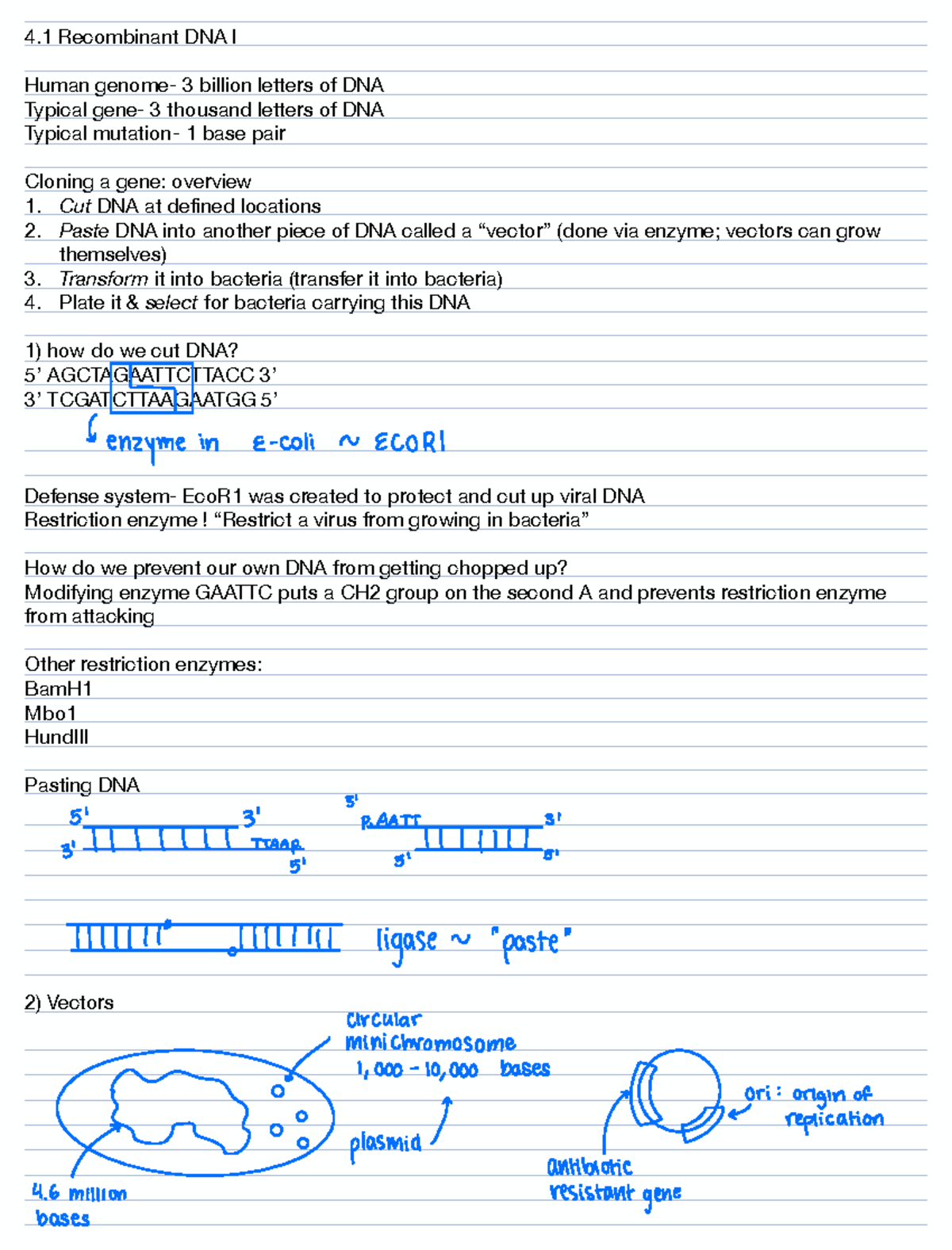 4.1 Recombinant DNA I - Lecture notes 16 - 4 Recombinant DNA I Human ...