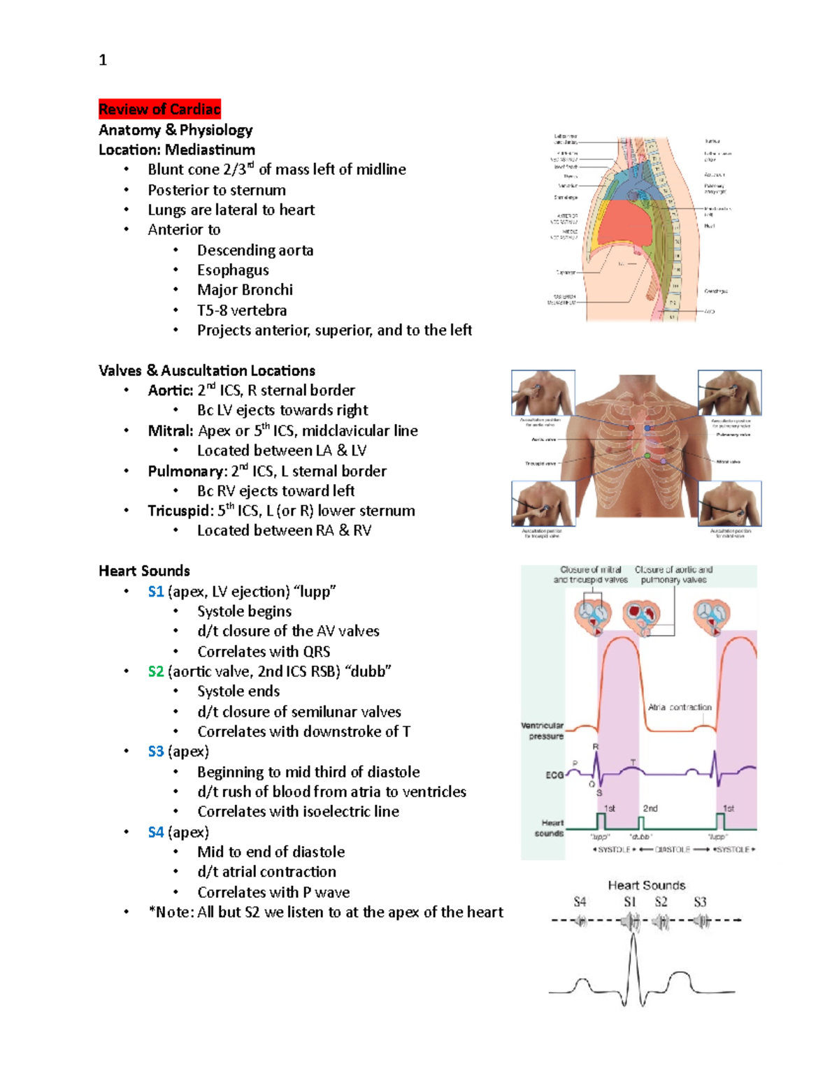 Principles of Anesthesia II Test 2 Study Guide - Review of Cardiac ...