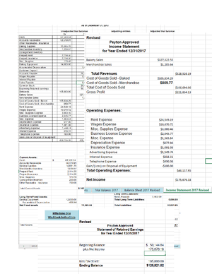 Mod 5 proforma notes - Module 5 Pro Forma Notes Peyton Approved Second ...