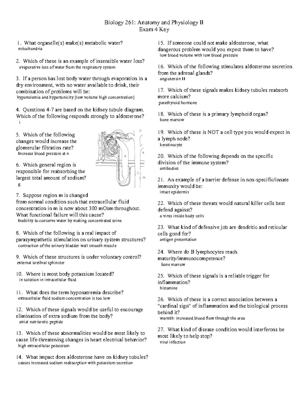 Exam 4 part 2 - exam key - Biology 261: Anatomy and Physiology II Exam ...