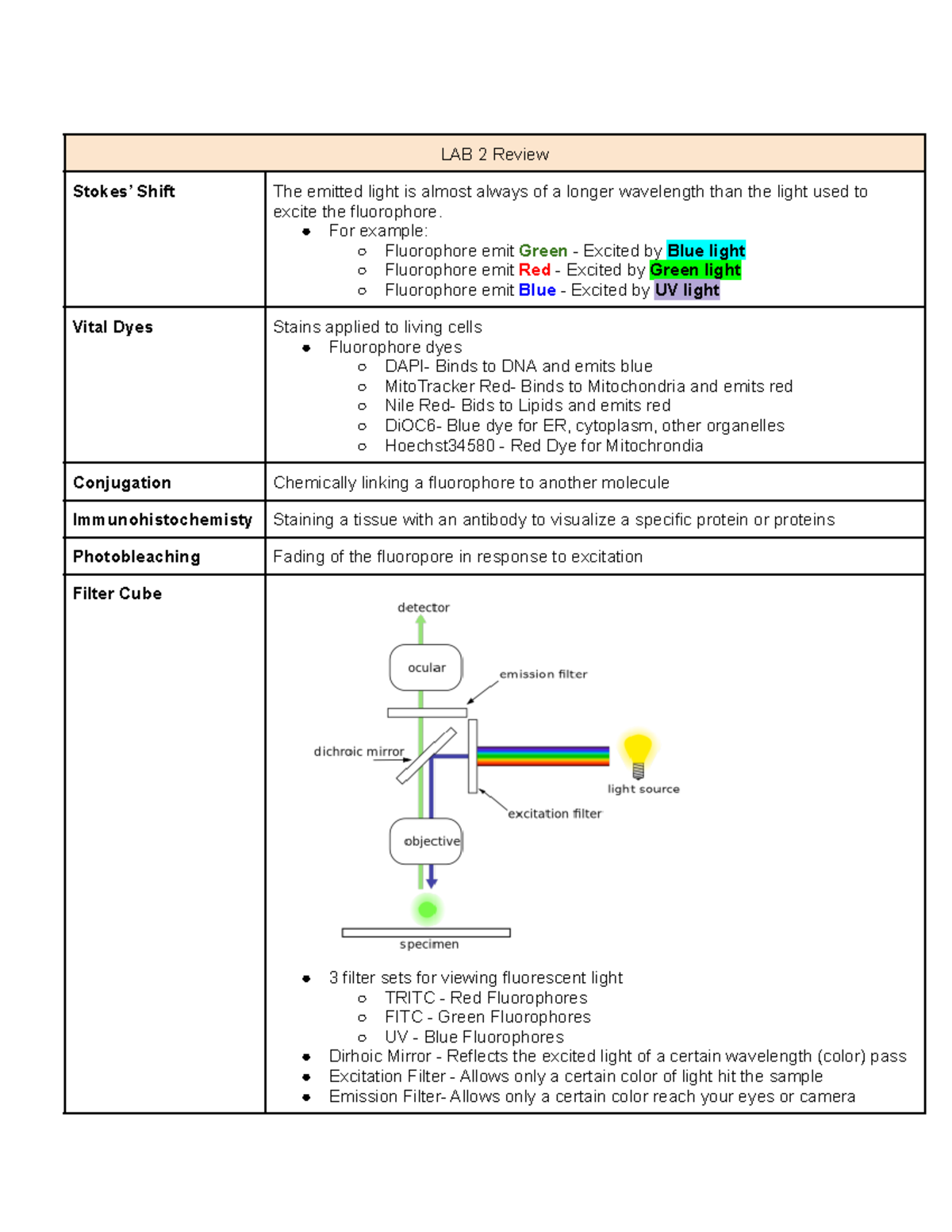 LAB quiz 2 review LAB 2 Review Stokes’ Shift The emitted light is