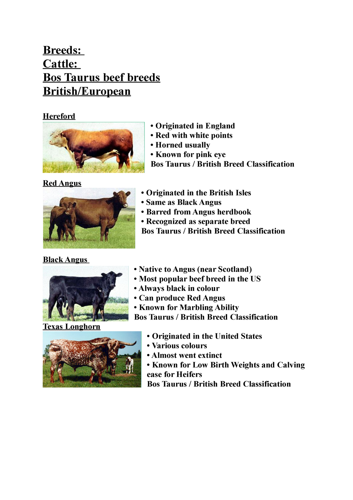 Livestock Breeds - Breeds: Cattle: Bos Taurus beef breeds British