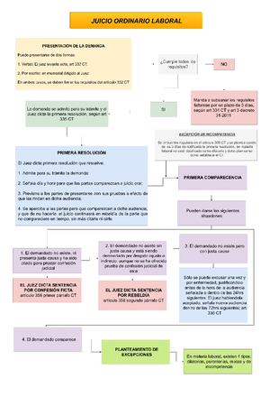 Laboral Proceso Ordinario Laboral - 1. DEMANDA Es El Acto Por Medio Del ...