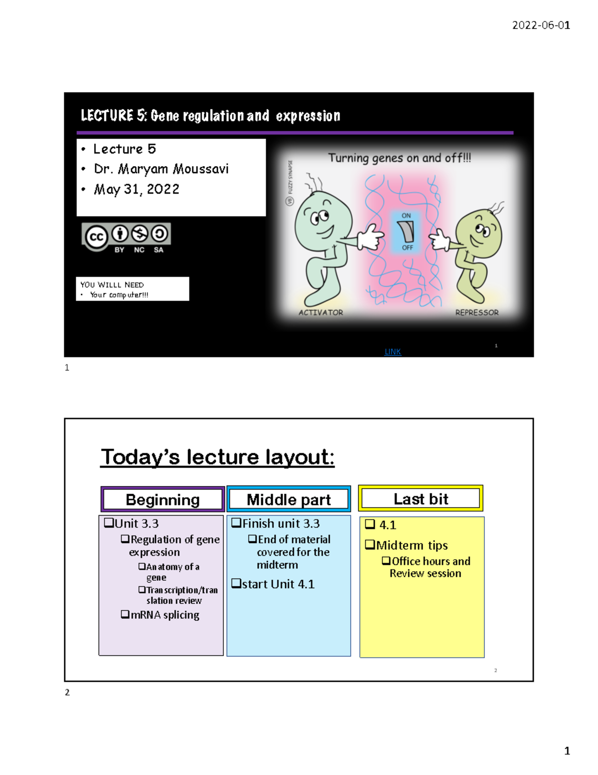 Lecture 5 3.3 and 4 - LECTURE 5: Gene regulation and expression ...