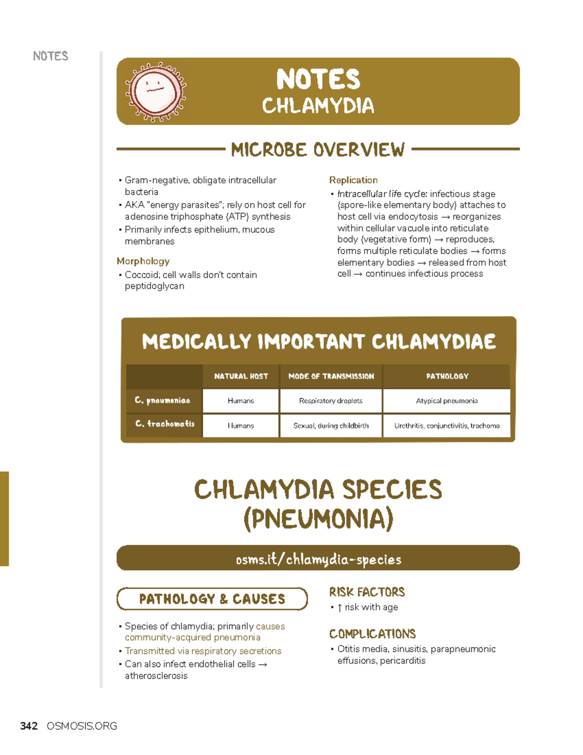 Chlamydia - microbiology - ####### 342 NOTES Gram-negative, obligate ...