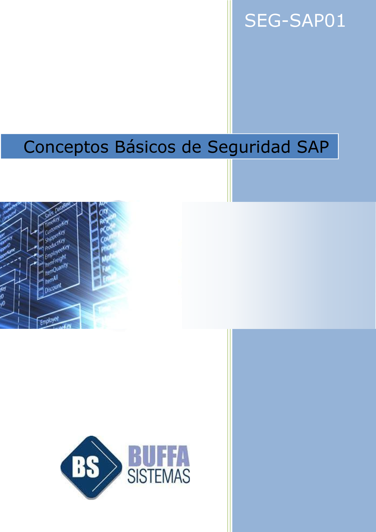 Seg Sap Conceptos B Sicos De Seguridad Sap Seg Sap Conceptos Bsicos De Seguridad Sap La