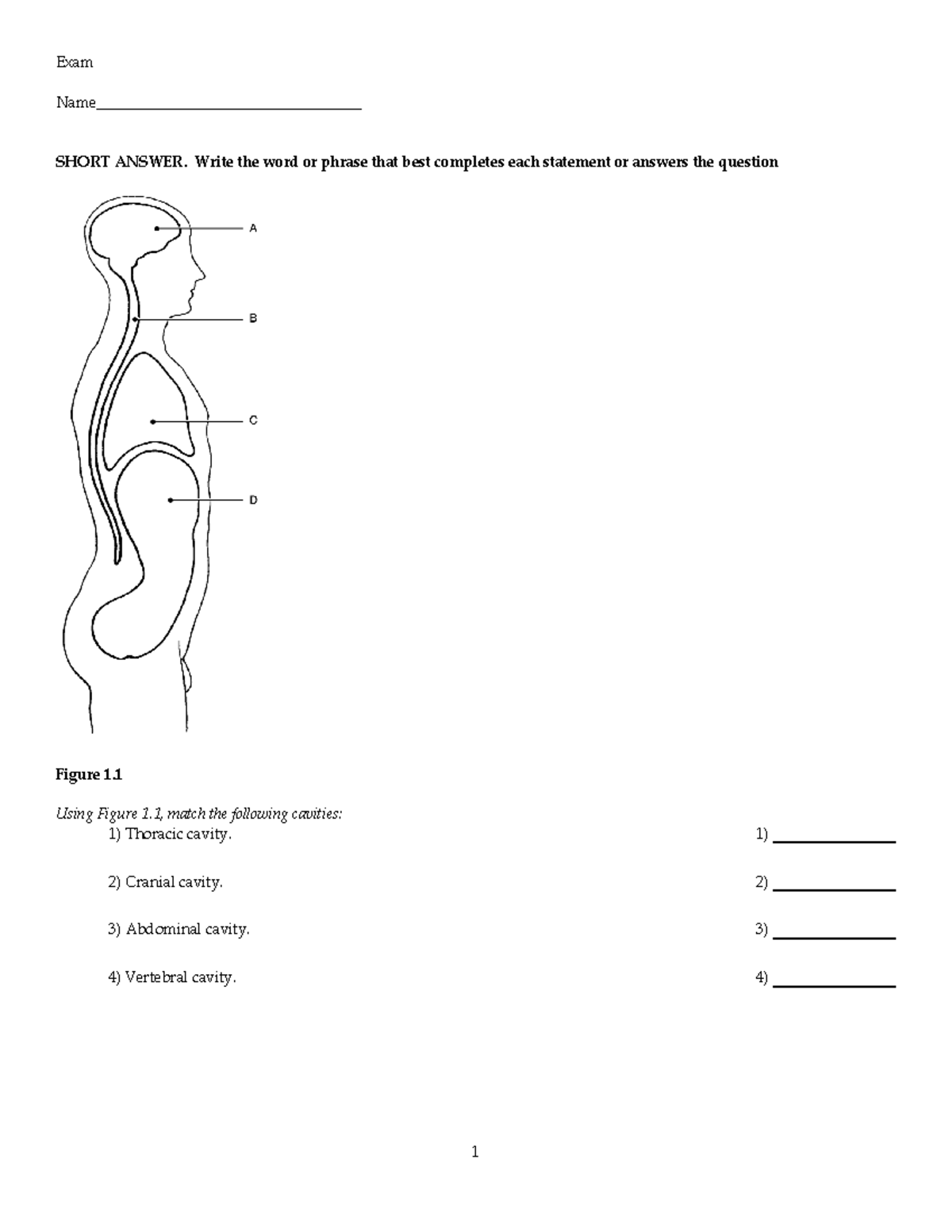 Ch1 - Chapter 1 Material Practice Questions - Exam Name