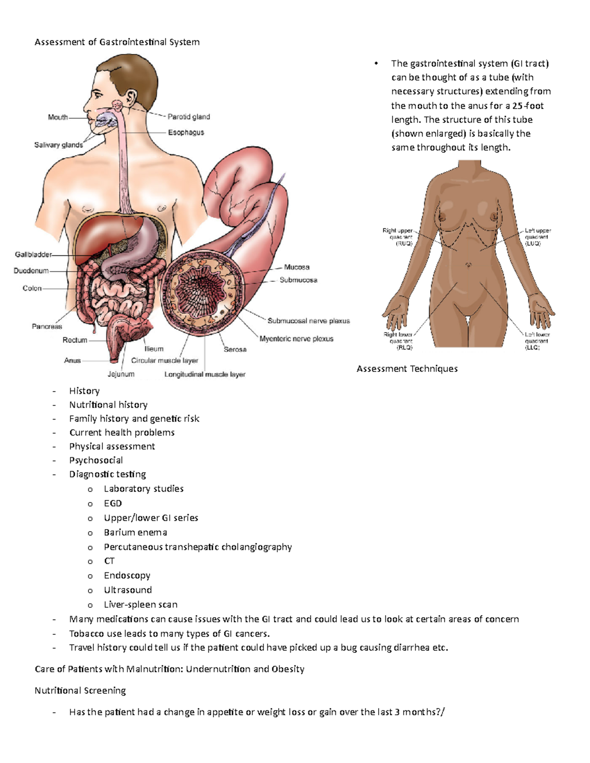 Exam 4 Assessment of Gastrointestinal System - Assessment of ...