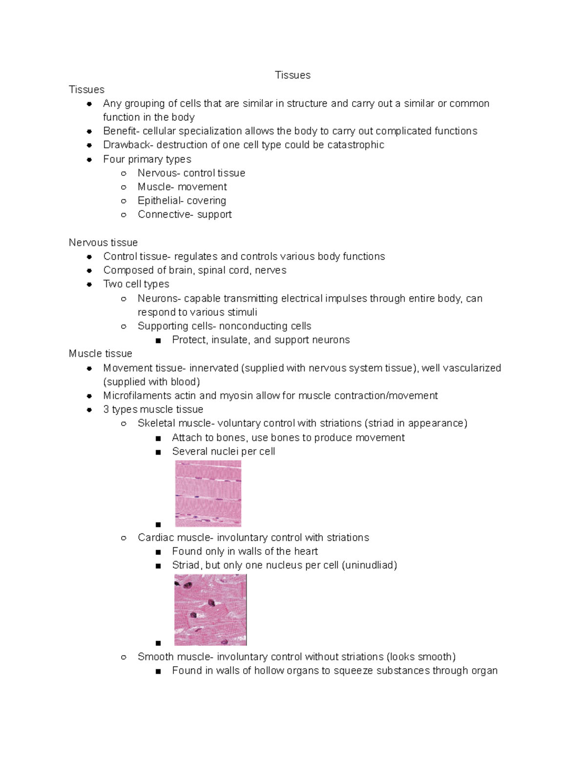 Anatomy Chapter 4 - Biol 251 - BU - Studocu