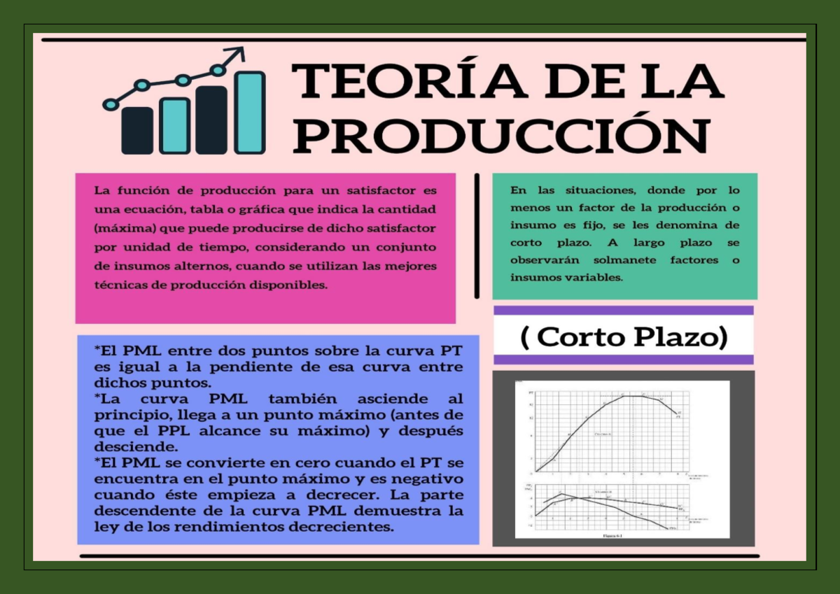 La Teoria De La Produccion Microeconomia