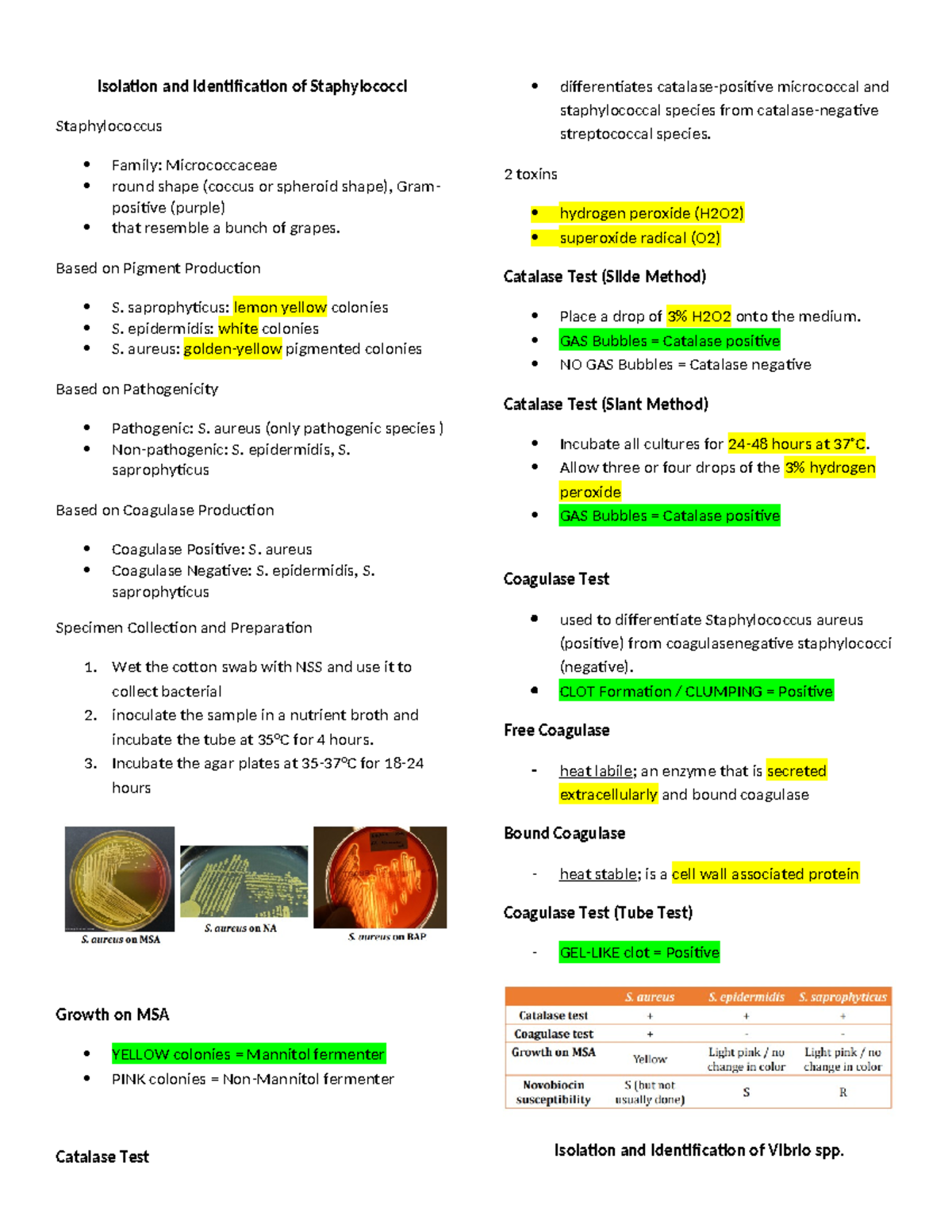 Reviewer IN Bacte LAB Isolation and Identification of Staphylococci