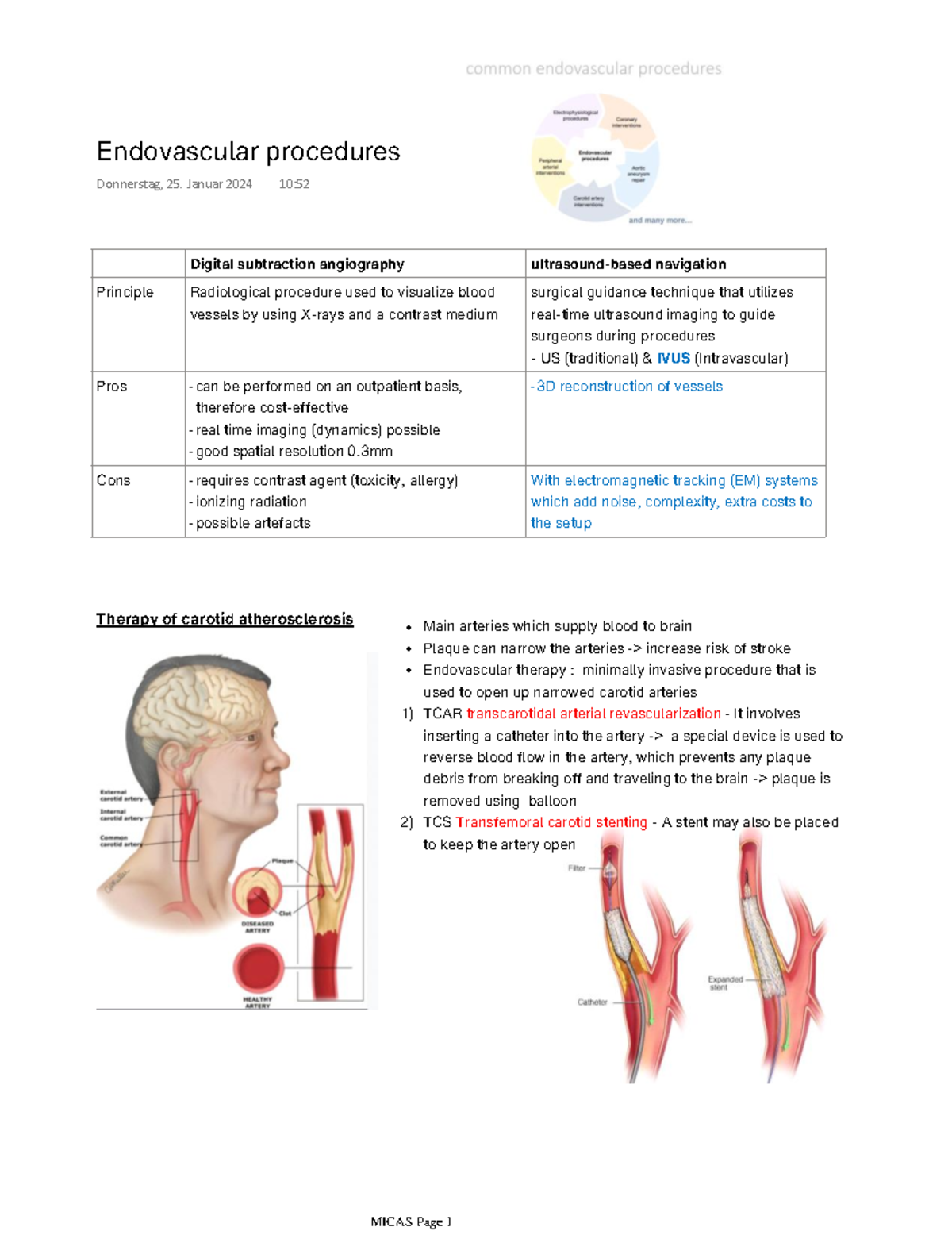 Endovascular procedures - Digital subtraction angiography ultrasound ...