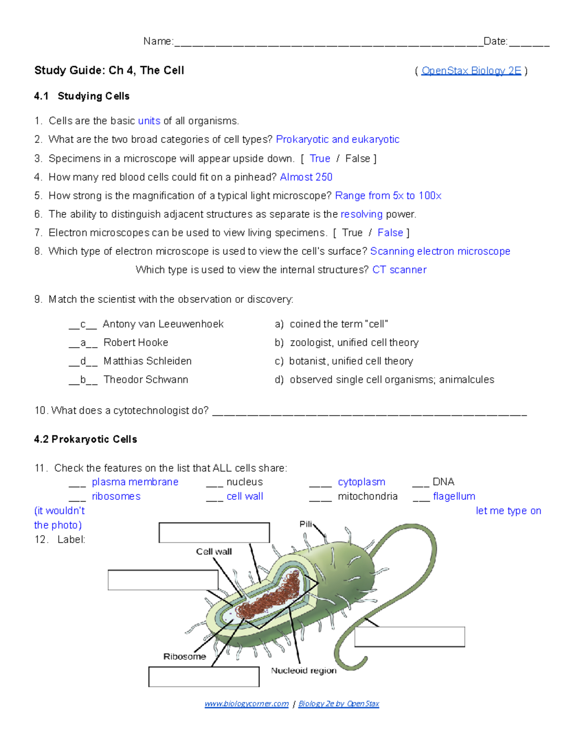 Unit 3 Study Guide Cells - Name ...