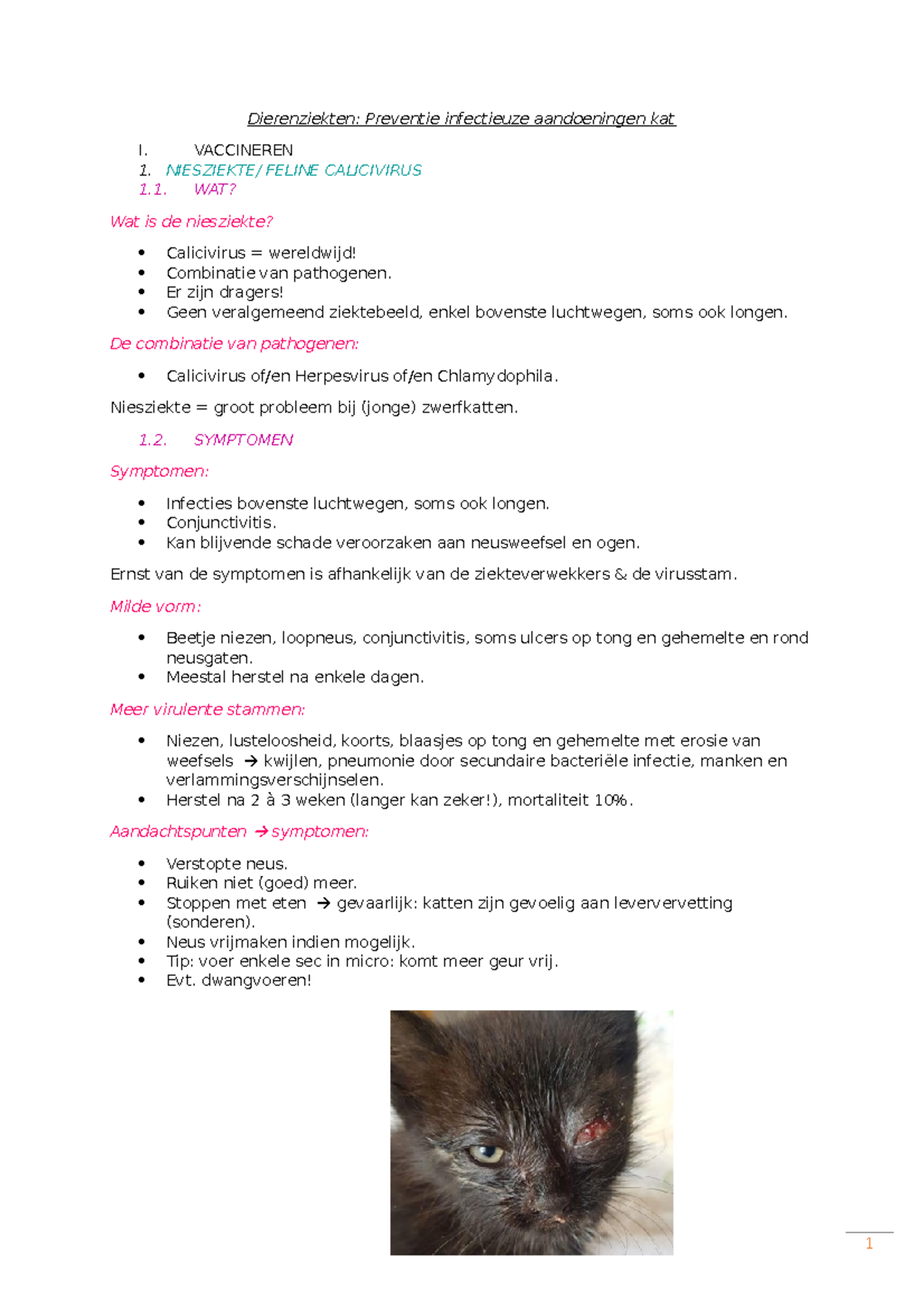 Dierenziekten - Samenvatting Kattenziekten - Dierenziekten: Preventie ...