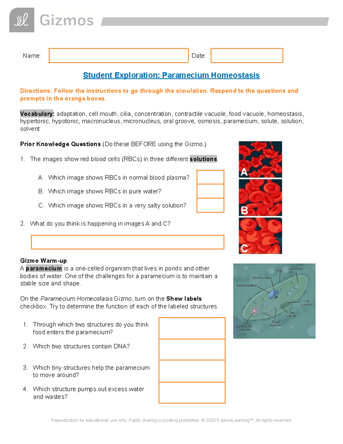 Copy Of Paramecium Homeostasis SE - Name: Date: Student Exploration ...