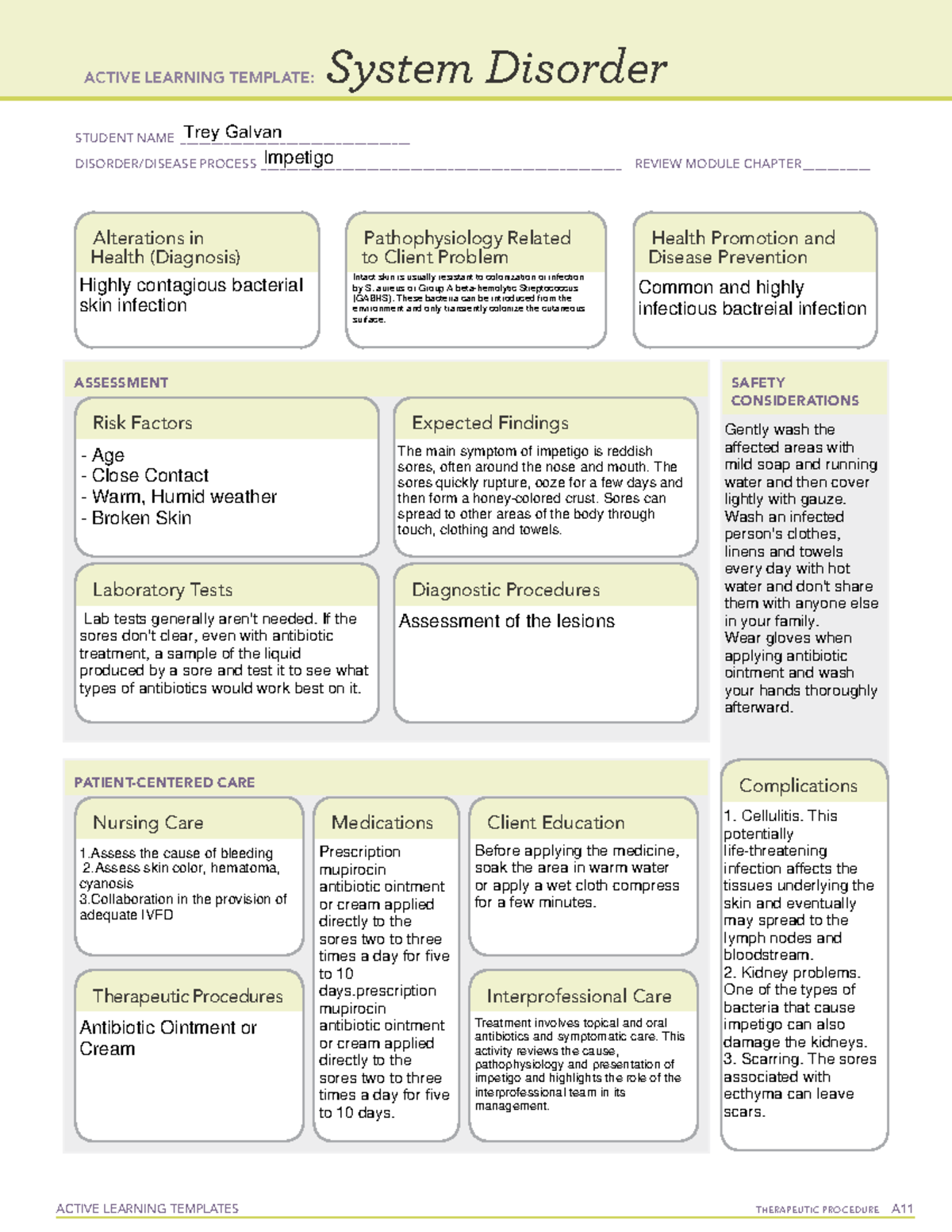 Impetigo - System Disorder - ACTIVE LEARNING TEMPLATES THERAPEUTIC ...