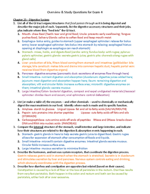 Lab 5 questions - Lab - Questions on Important Concepts from the Cat ...