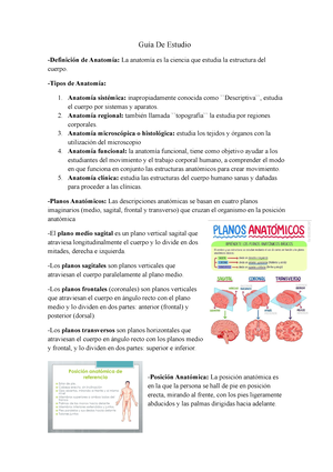 Repaso De Estructa Anatomia Repaso Del Examen Final De Estructura Y Sistemas Anat Micos