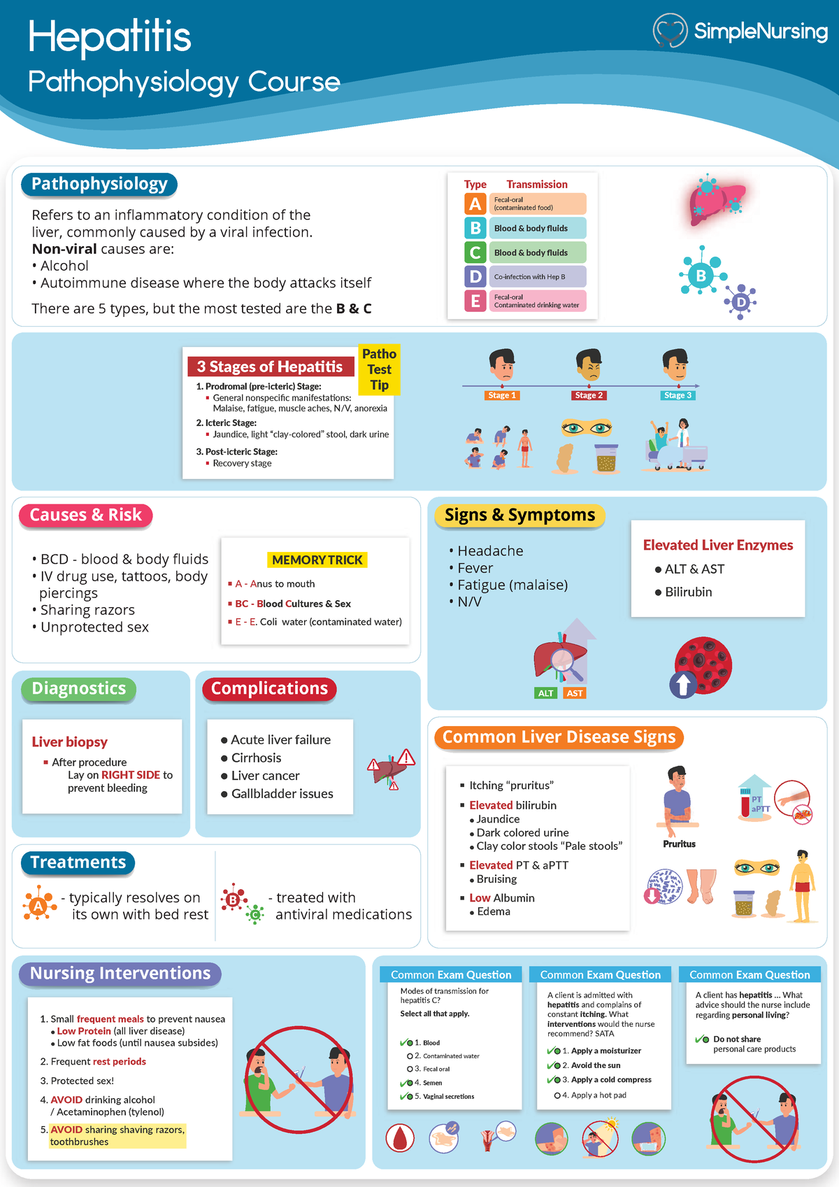 3. Hepatitis - MedSurg - Hepatitis Pathophysiology Course General ...