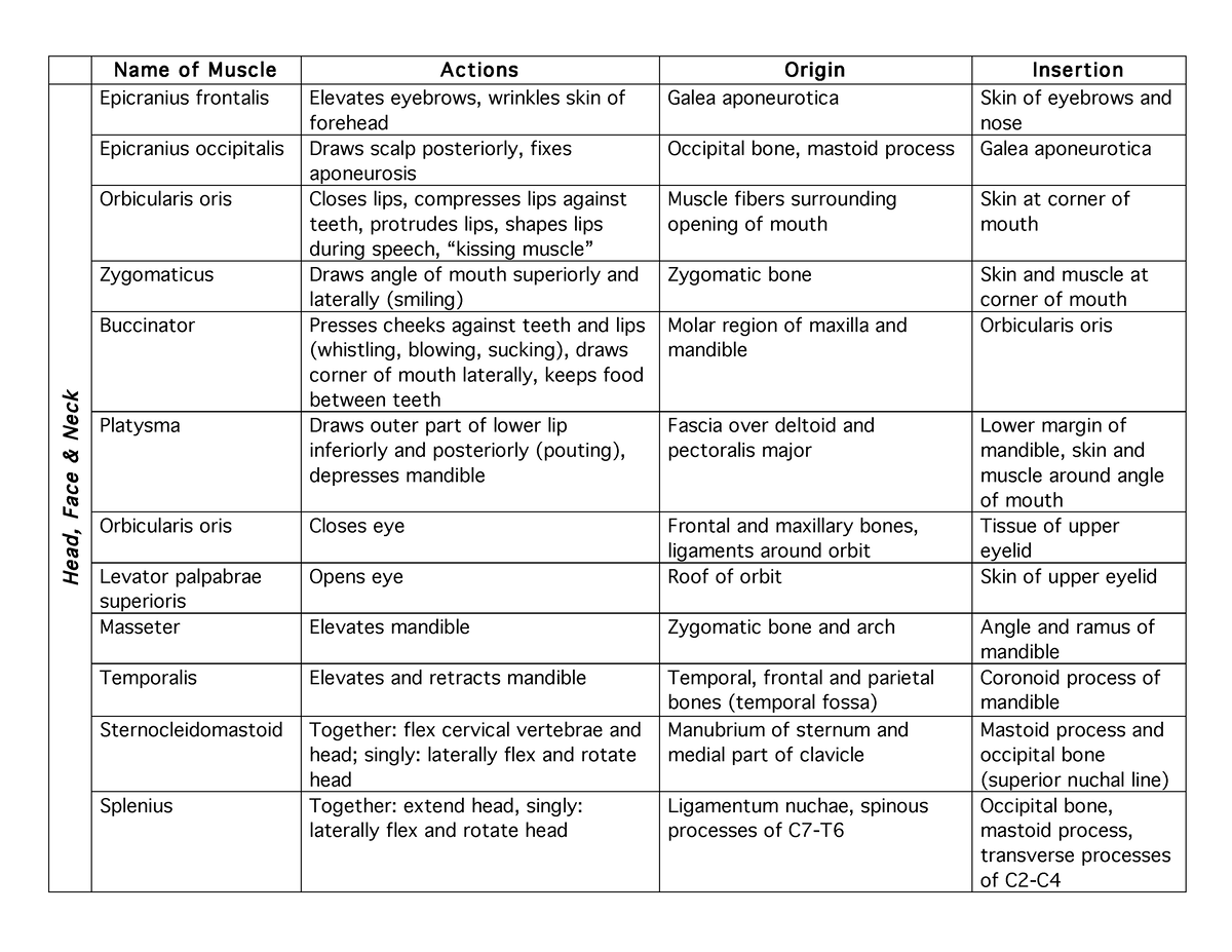 Muscle-Table - MOINA - Name of Muscle Actions Origin Insertion He ad ...