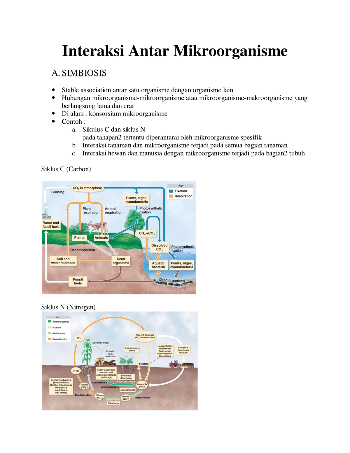 P9. Interaksi Antar Mikroorganisme-1-2 - Interaksi Antar Mikroorganisme ...