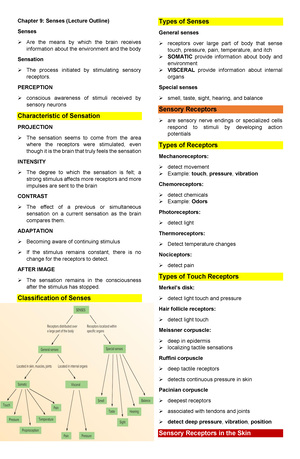 Anatomy And Physiology Chapter 11 - Chapter 11: BLOOD Blood The “river ...