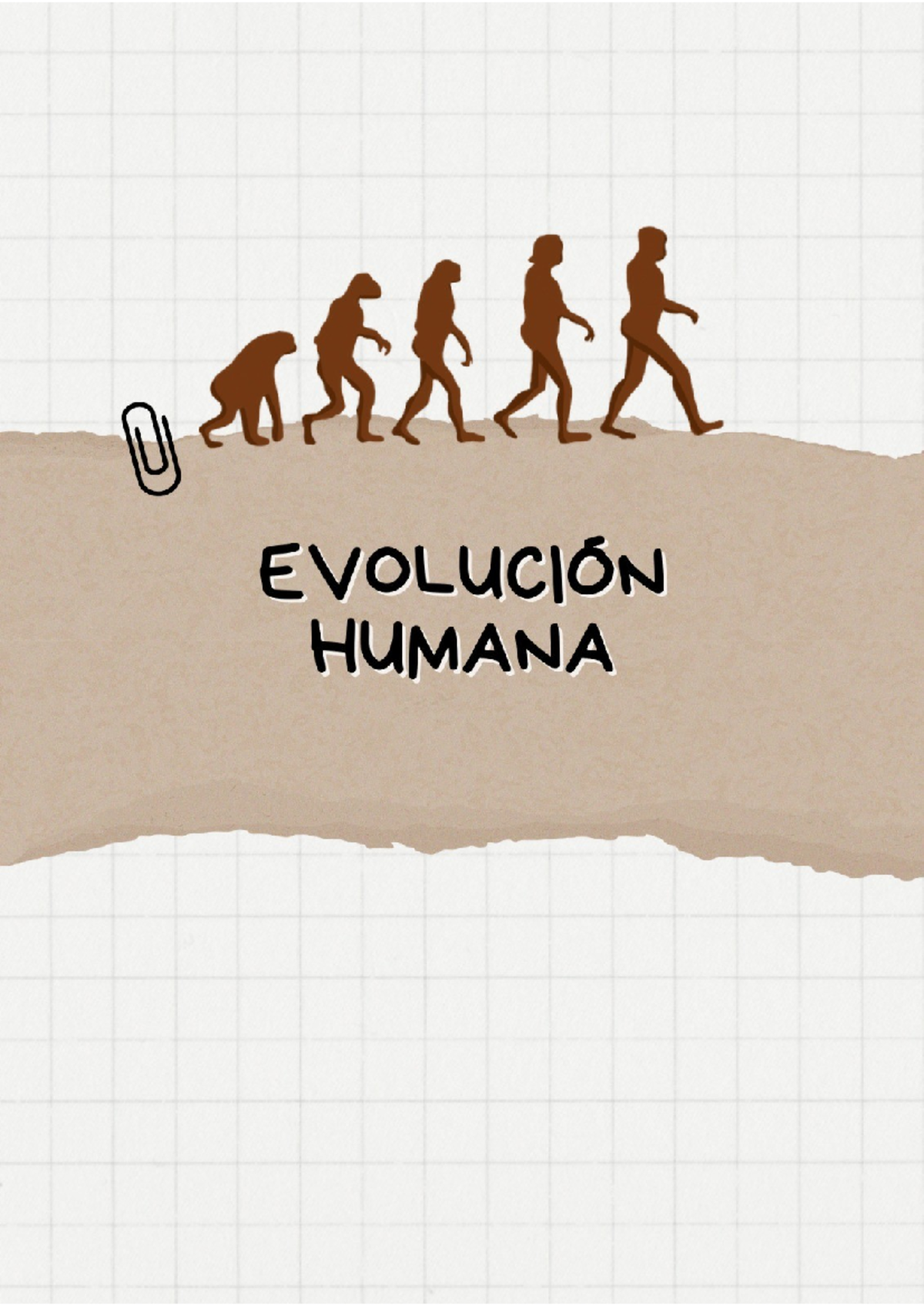 Resumen Evolución Humana - CLASE 1 Y 2: TIEMPO Y ESPACIO DE LA ...