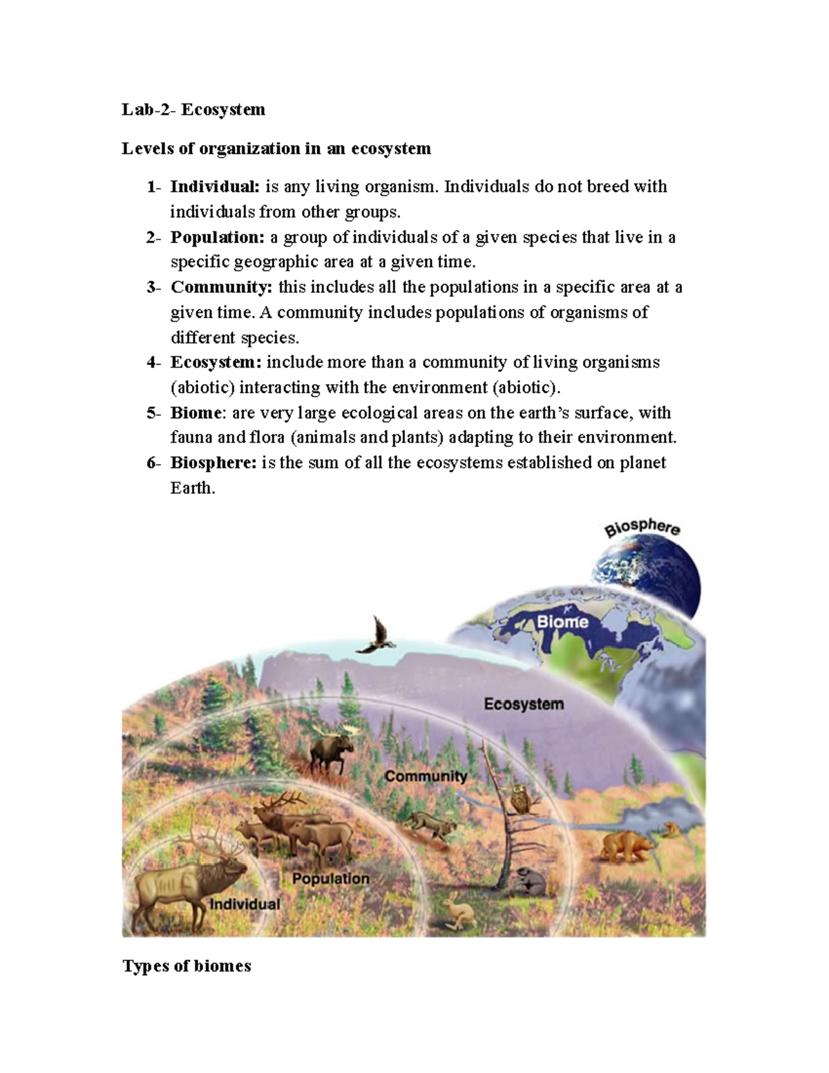 Ecosystem Lab2 Ecosystem Levels of organization in an ecosystem 1