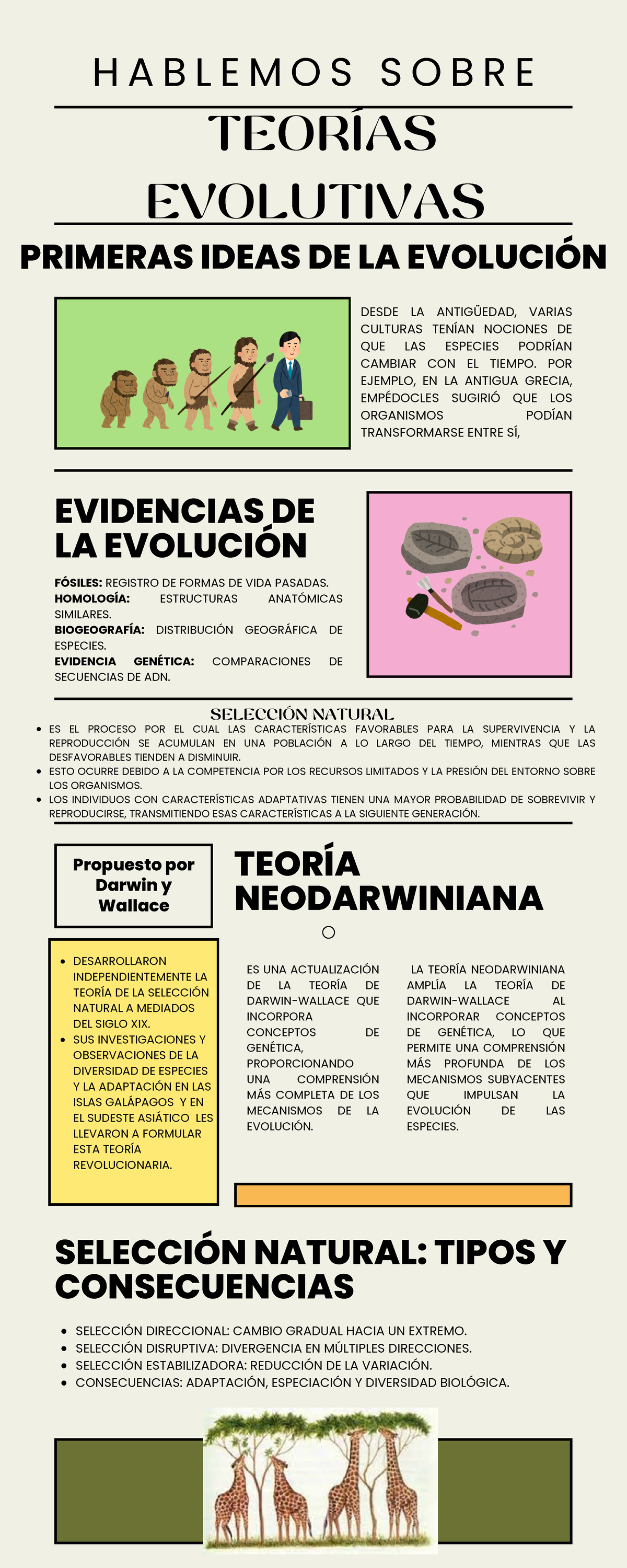A2B2. Teorías Evolutiva TEORÍAS EVOLUTIVAS DESARROLLARON