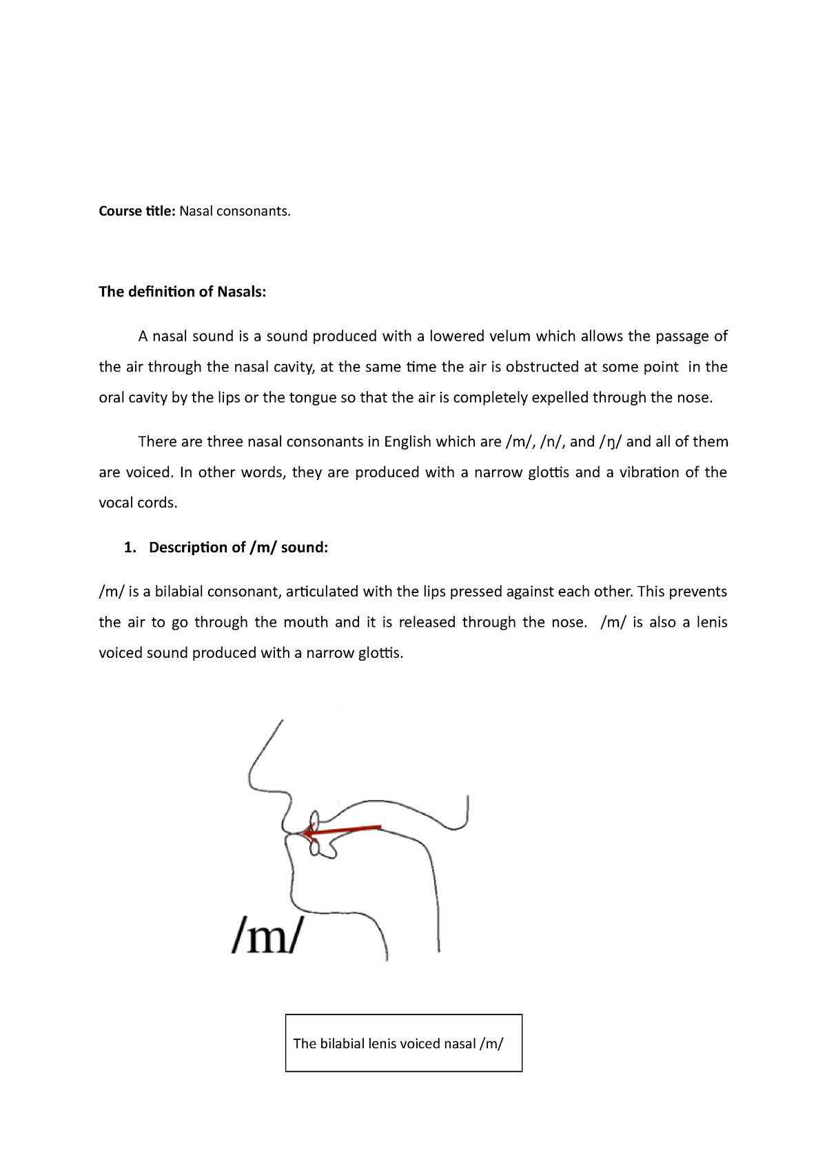 lecture-2-nasal-consonants-course-title-nasal-consonants-the