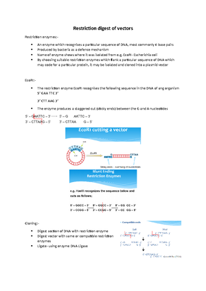 BSc Biochemistry Genetics notes and DNA synthesis - Genetics Lecture ...
