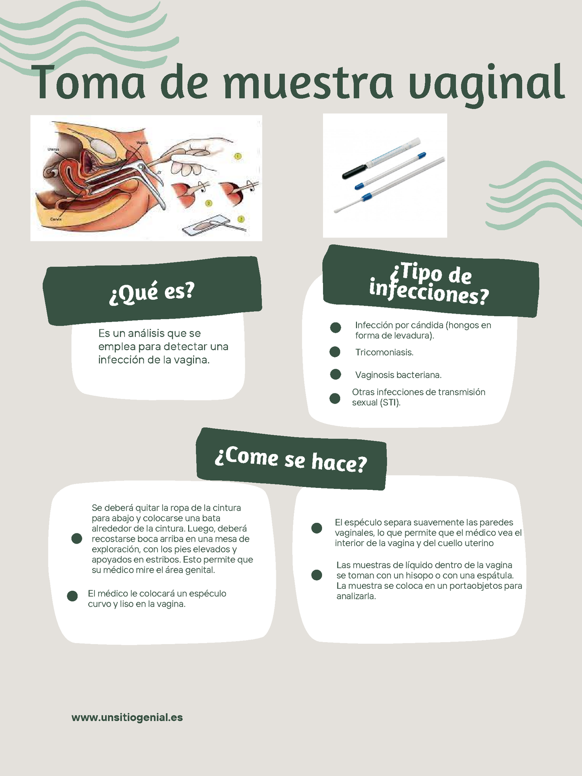 Cartel De Toma De Muestra Toma De Muestra Vaginal ¿qué Es ¿come Se Hace ¿tipo De Infecciones 7871