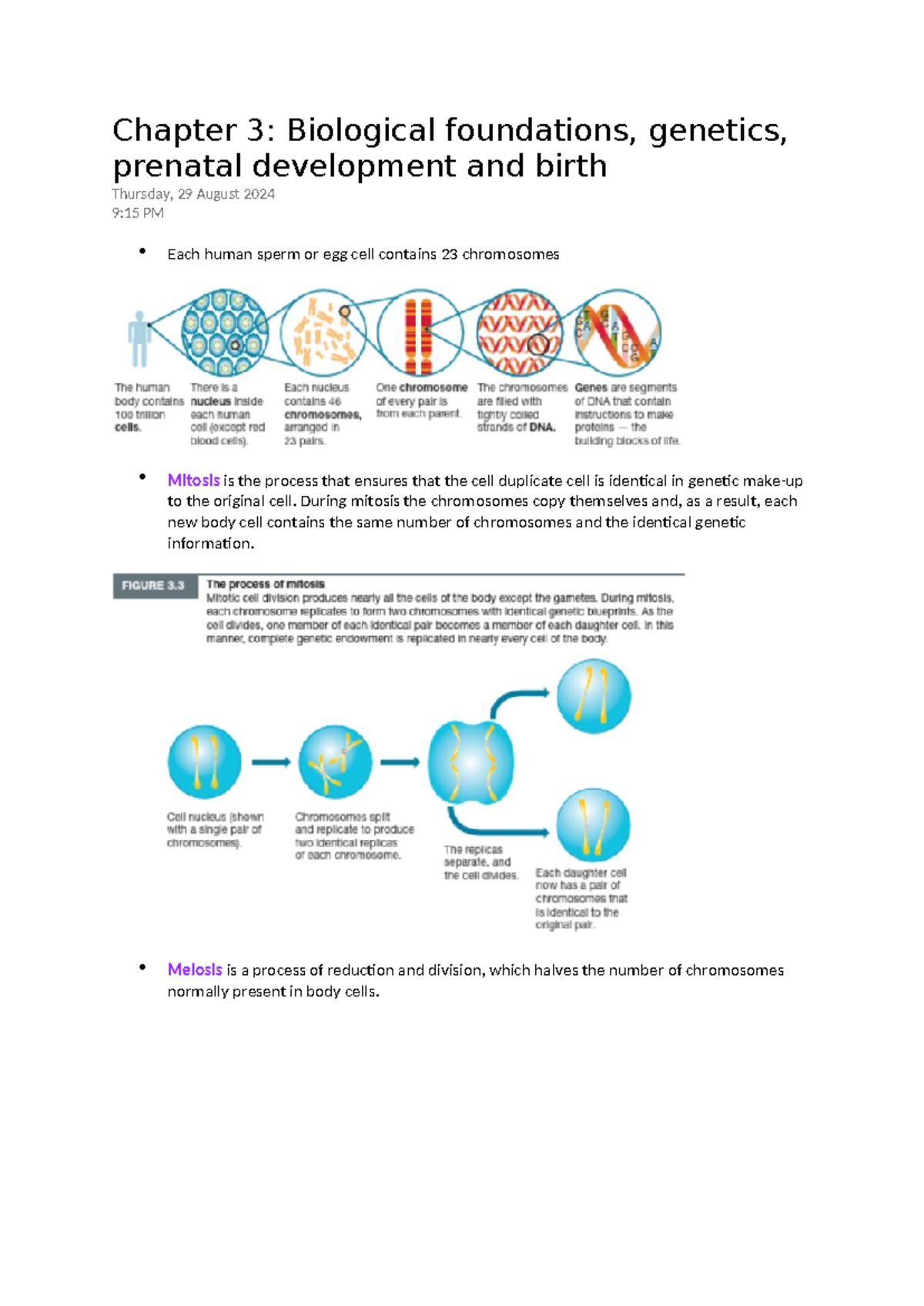 Chapter 3 Biological foundations, genetics, prenatal development and ...