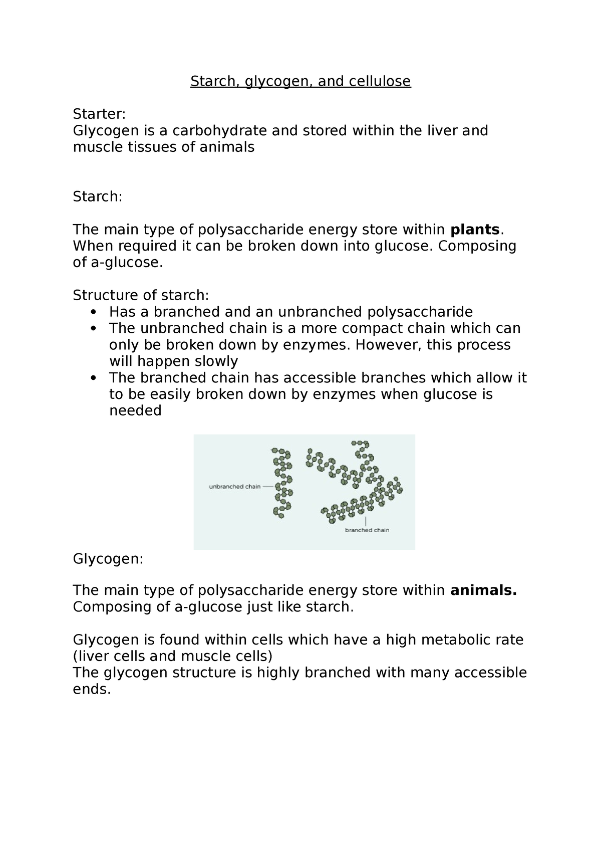 Starch Glycogen And Cellulose Starch Glycogen And Cellulose