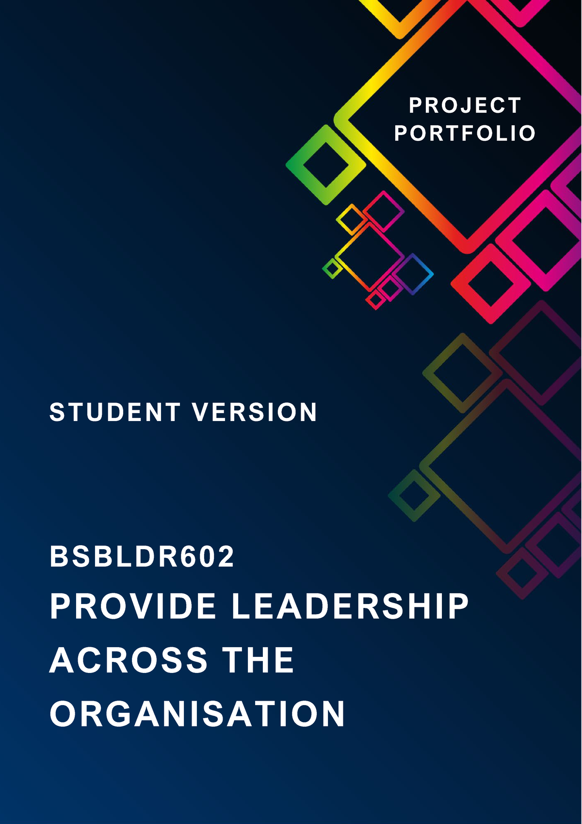 Bsbldr 602 Project Portfolio - PROVIDE LEADERSHIP ACROSS THE ...